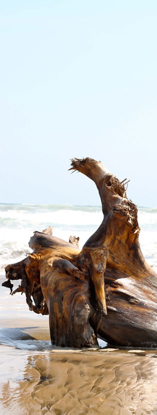 Casa Riscal Beach Scene