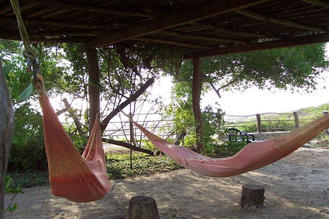 Hammock Area